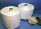 40S / 2 / 3 Natural White 100% Spun Polyester Yarn Ring Spun Paper Cones supplier