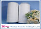 Plastic Tube Spun TFO High Tenacity Polyester Yarn 30/1 30/2 30/3 Raw White or Dyeing Color supplier