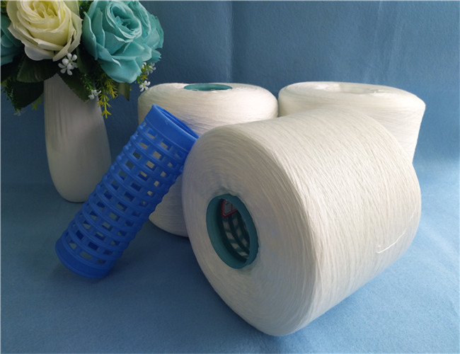 100pct Polyester Yarn on Dye Tube or Paper Tube Ring Spun Type