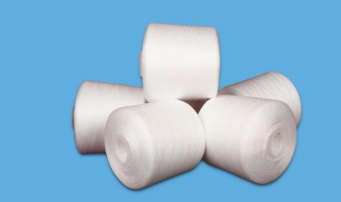 Plastic Dyeing Tube 60s/3 Raw White 100% Virgin Spun Polyester Bright Yarn