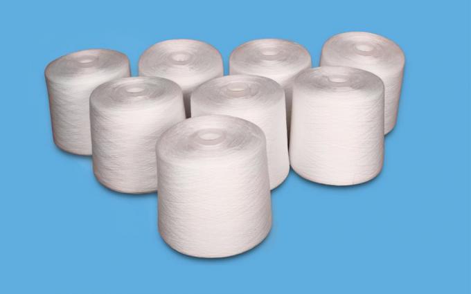 40 / 2 40 / 3 100% Spun Polyester Yarn on Plastic Dying Tube Natural White